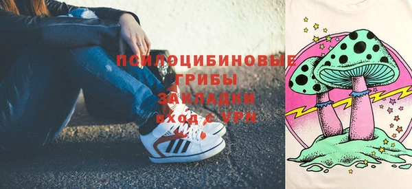 гидропоника Гусев